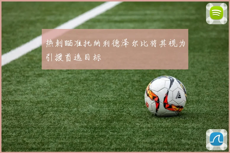 热刺瞄准托纳利德泽尔比将其视为引援首选目标